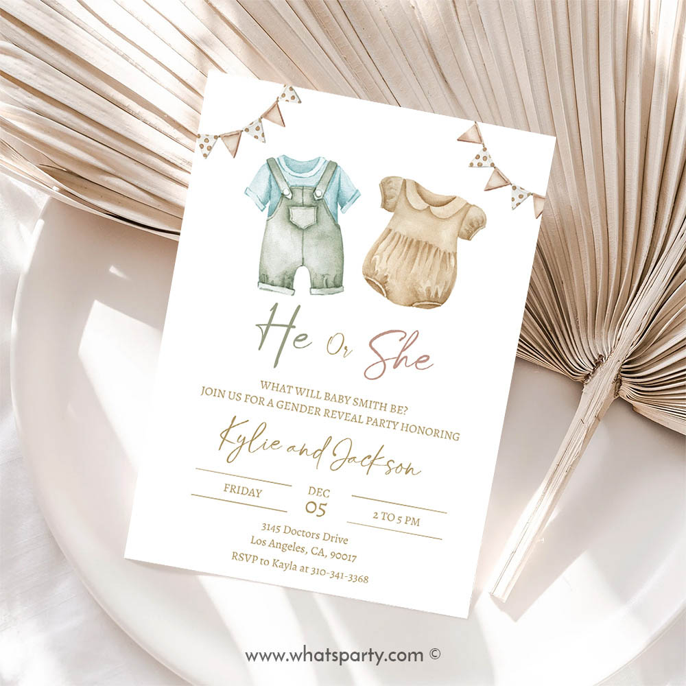 Boho Invitation, Boho Gender Reveal Invitation, Baby Clothes Gender Reveal Party Invite